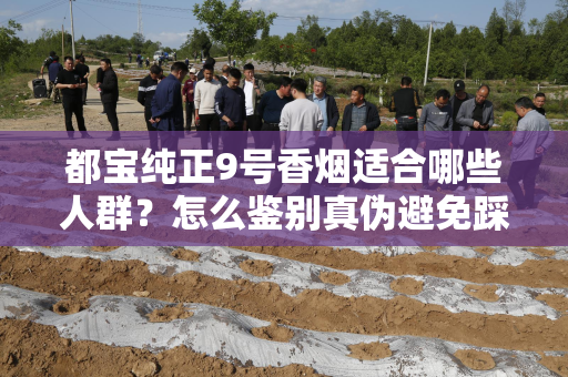 都宝纯正9号香烟适合哪些人群？怎么鉴别真伪避免踩坑？